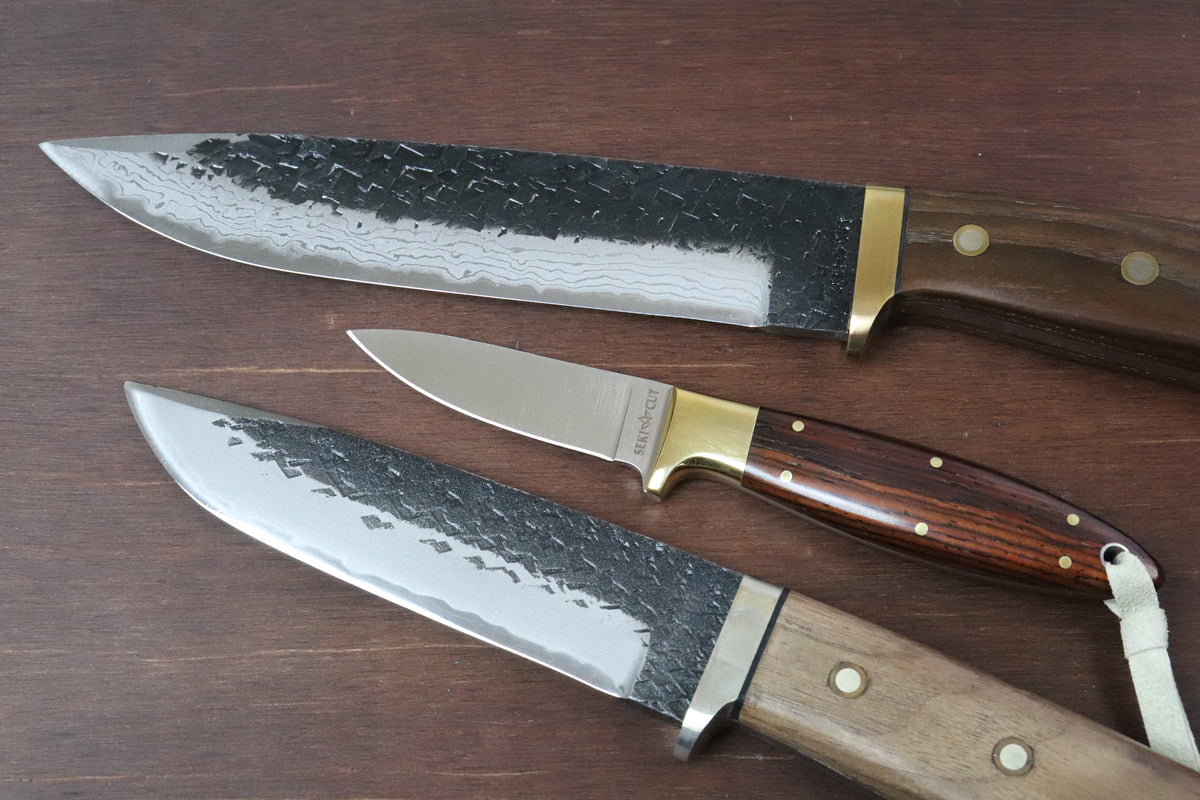 Sepic Cut Seki Cut