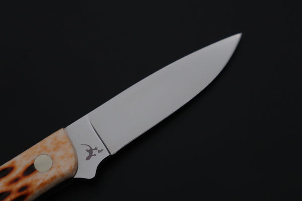 Hattori 傘 SAN-GECKO Last Solid VG-10 Limited Edition GECKO-37 #845 Wild Little Hunter (Jigged Bone Handle)