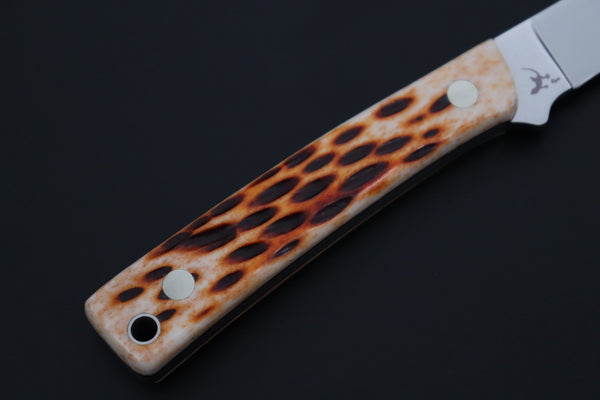 Hattori 傘 SAN-GECKO Last Solid VG-10 Limited Edition GECKO-37 #845 Wild Little Hunter (Jigged Bone Handle)