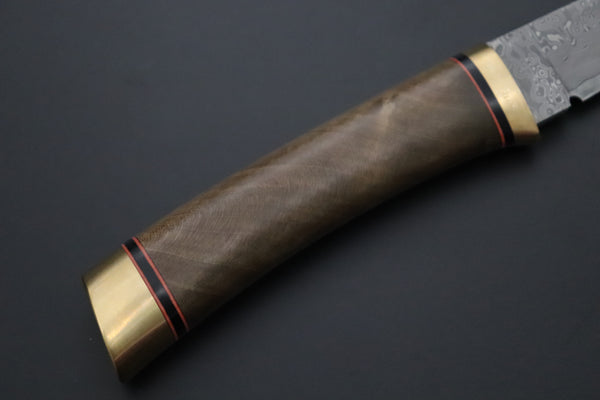 Hattori 傘 SAN Limited “Natures Edition” SAN-158 "Cowry X Damascus Classic Tanto"