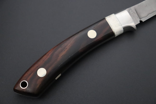 Hattori 傘 SAN Limited “Natures Edition” SAN-166 "Cowry X Damascus Little Tanto"