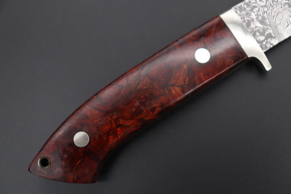 Mr. Itou  IT-580B Drop Point Hunter, 3-5/8" R2 Damascus Blade, Quince Burl wood Handle