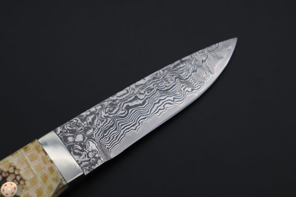 Mr. Itou  ITH-160B  "Treasure Hunter Series" Custom R-2 Damascus 3-1/2" Drop-point Hunter, Armadillo  'Brown Dots texture' Hide Handle