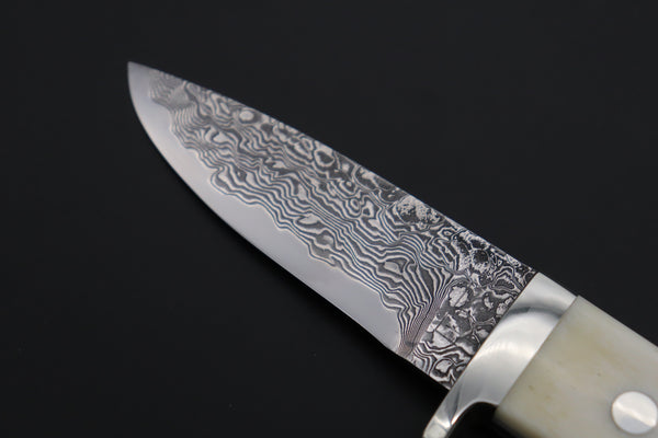 Mr. Itou  IT-490A Drop Point Hunter, 3-1/4" R-2 Damascus Blade, White Camelbone Handle