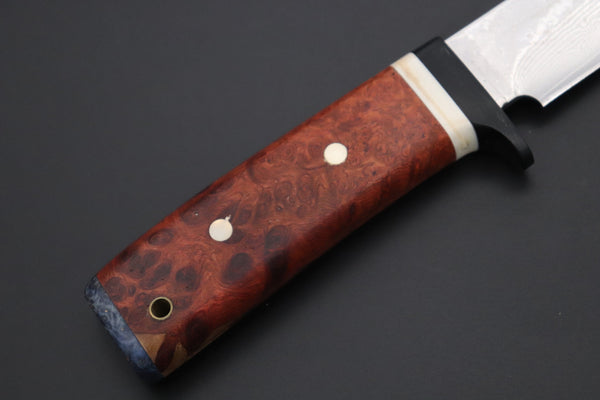 Fumio Inagaki FI-815   5" VG-10 Damascus Drop Point Hunter, Quince Burl wood Handle