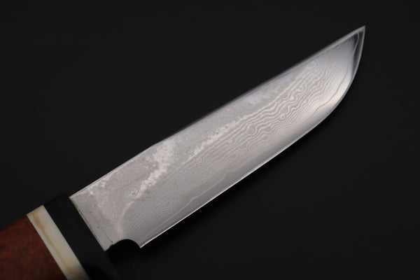 Fumio Inagaki FI-815   5" VG-10 Damascus Drop Point Hunter, Quince Burl wood Handle