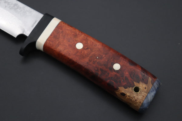 Fumio Inagaki FI-815   5" VG-10 Damascus Drop Point Hunter, Quince Burl wood Handle