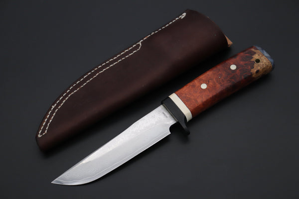 Fumio Inagaki FI-815   5" VG-10 Damascus Drop Point Hunter, Quince Burl wood Handle