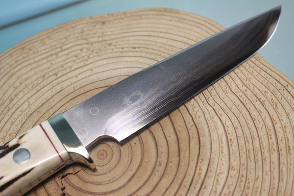 Fumio Inagaki FI-890 Damascus Hunter, 5-1/2" VG-1 Damascus blade - JapaneseKnifeDirect.Com