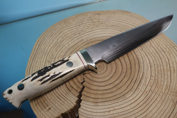 Fumio Inagaki FI-890 Damascus Hunter, 5-1/2" VG-1 Damascus blade - JapaneseKnifeDirect.Com