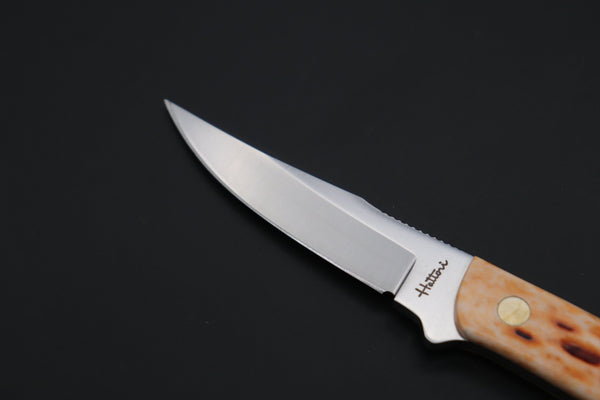Hattori #841B Little Wild Hunters (Clip Point)