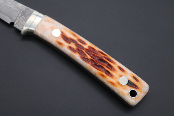 Hattori KD30-841B Cowry X Damascus Little Wild Hunters (Clip Point, Brown Jigged Bone Handle)