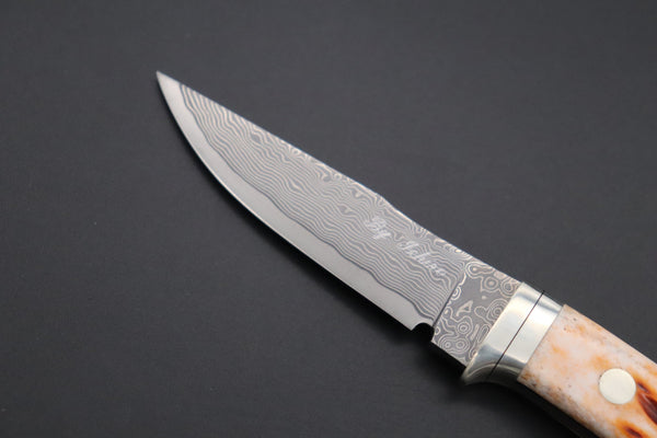 Hattori KD30-841B Cowry X Damascus Little Wild Hunters (Clip Point, Brown Jigged Bone Handle)