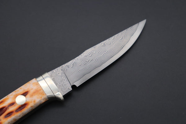 Hattori KD30-841B Cowry X Damascus Little Wild Hunters (Clip Point, Brown Jigged Bone Handle)