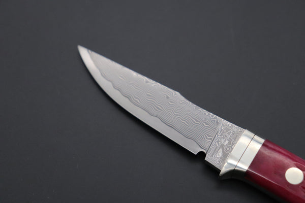 Hattori KD30-841R Cowry X Damascus Little Wild Hunters (Clip Point, Strawberry Red Bone Handle)