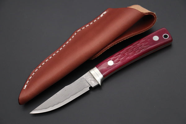 Hattori KD30-841R Cowry X Damascus Little Wild Hunters (Clip Point, Strawberry Red Bone Handle)