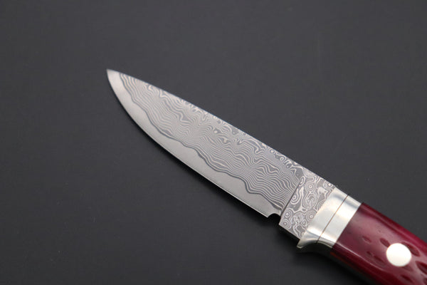 Hattori KD30-845-R Cowry X Damascus Little Wild Hunters  (Drop Point, Strawberry Red Bone Handle)