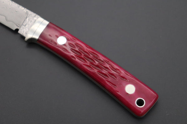 Hattori KD30-845-R Cowry X Damascus Little Wild Hunters  (Drop Point, Strawberry Red Bone Handle)