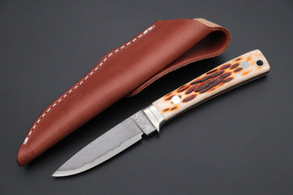 Hattori KD30-845B Cowry X Damascus Little Wild Hunters  (Drop Point, Brown Jigged Bone Handle)