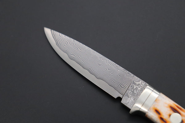 Hattori KD30-845B Cowry X Damascus Little Wild Hunters  (Drop Point, Brown Jigged Bone Handle)