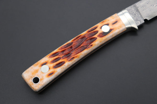 Hattori KD30-845B Cowry X Damascus Little Wild Hunters  (Drop Point, Brown Jigged Bone Handle)