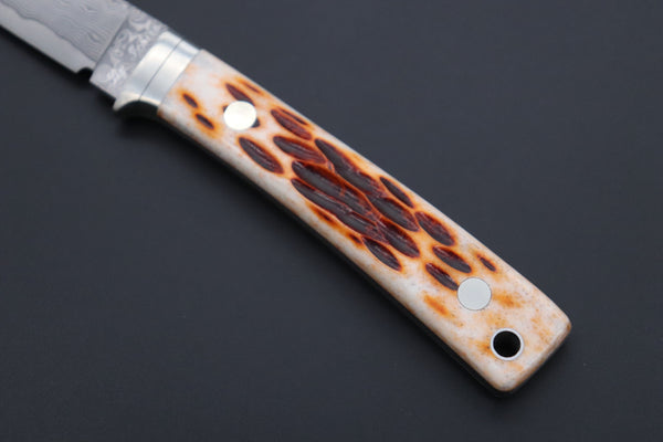 Hattori KD30-845B Cowry X Damascus Little Wild Hunters  (Drop Point, Brown Jigged Bone Handle)