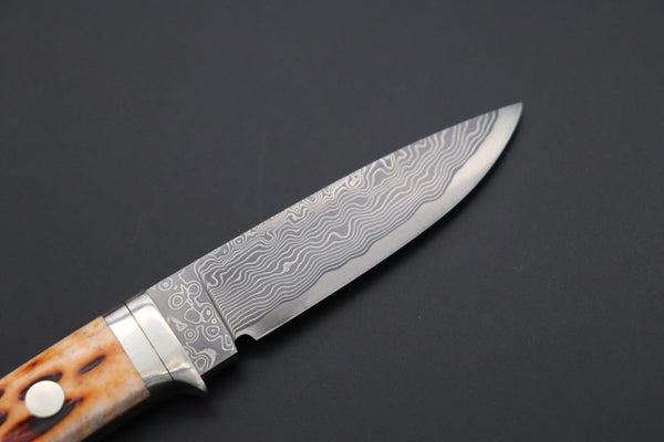 Hattori KD30-845B Cowry X Damascus Little Wild Hunters  (Drop Point, Brown Jigged Bone Handle)