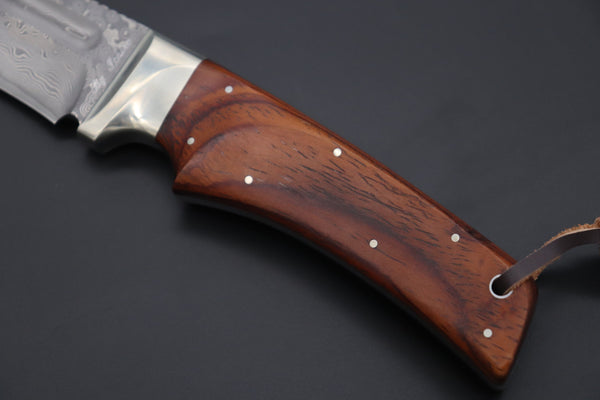 Hattori KD30-雅MIYABI (Cowry X Damascus Ultimate Edition, Cocobolowood Handle, KD30雅C)