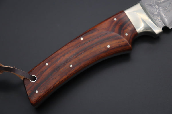 Hattori KD30-雅MIYABI (Cowry X Damascus Ultimate Edition, Cocobolowood Handle, KD30雅C)