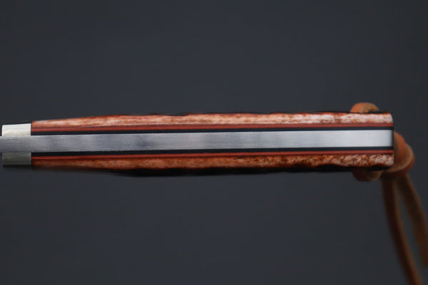 Hattori 傘 SAN-GECKO Limited Edition GECKO-33 Wild Dream Hunter