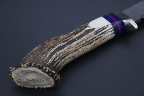 Hattori 傘 SAN Limited Edition SAN-133A Cowry-X Damascus Mighty Wild Crown Hunter (Crown Stag Handle)