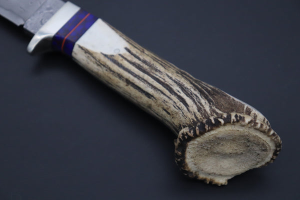 Hattori 傘 SAN Limited Edition SAN-133A Cowry-X Damascus Mighty Wild Crown Hunter (Crown Stag Handle)