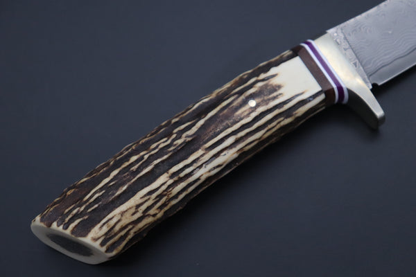 Hattori 傘 SAN Limited Edition SAN-143 Cowry-X Damascus Stream Wild Hunter