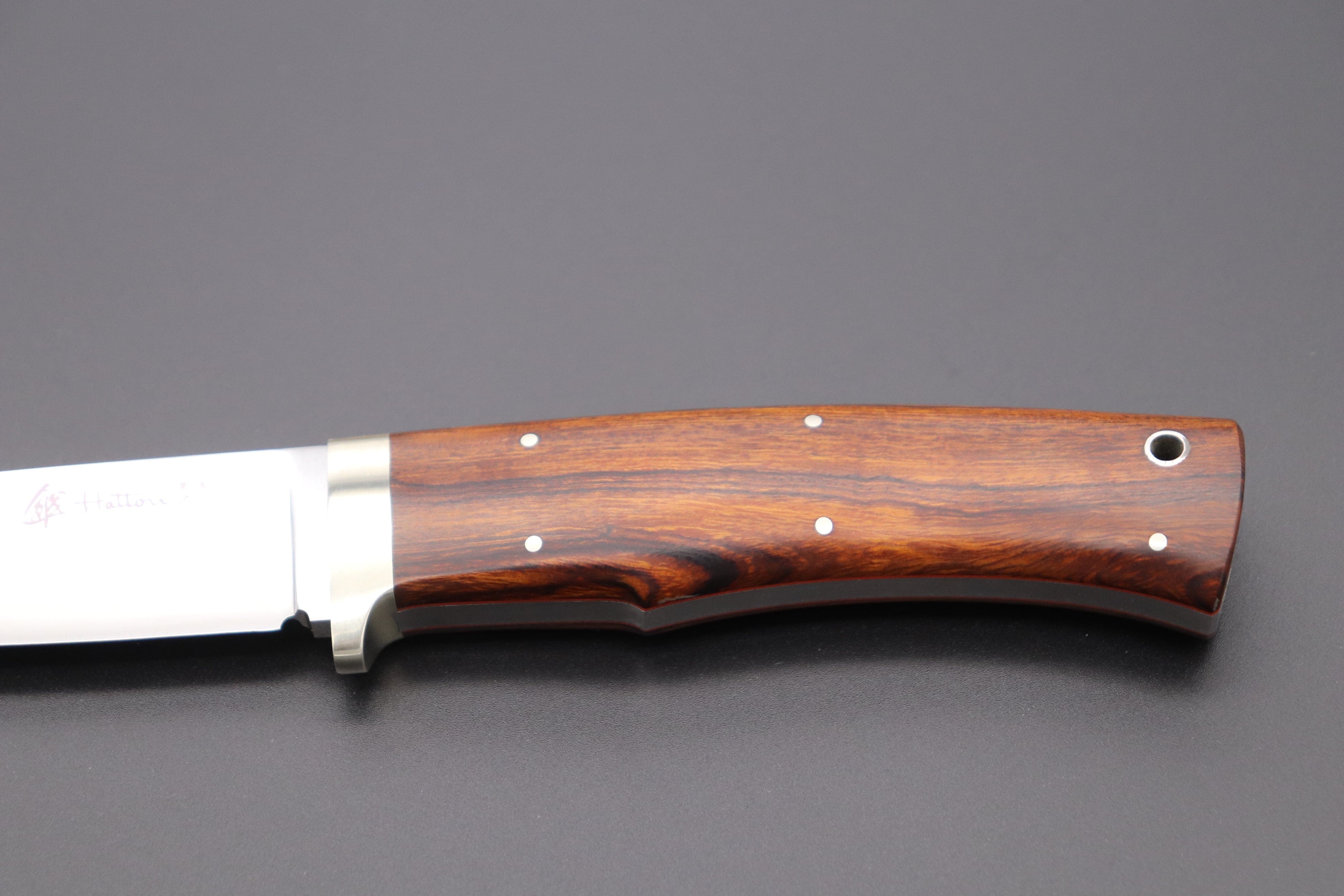 The Deadly Hunters Of The Desert: A Carnivore'S Guide - fr5off4