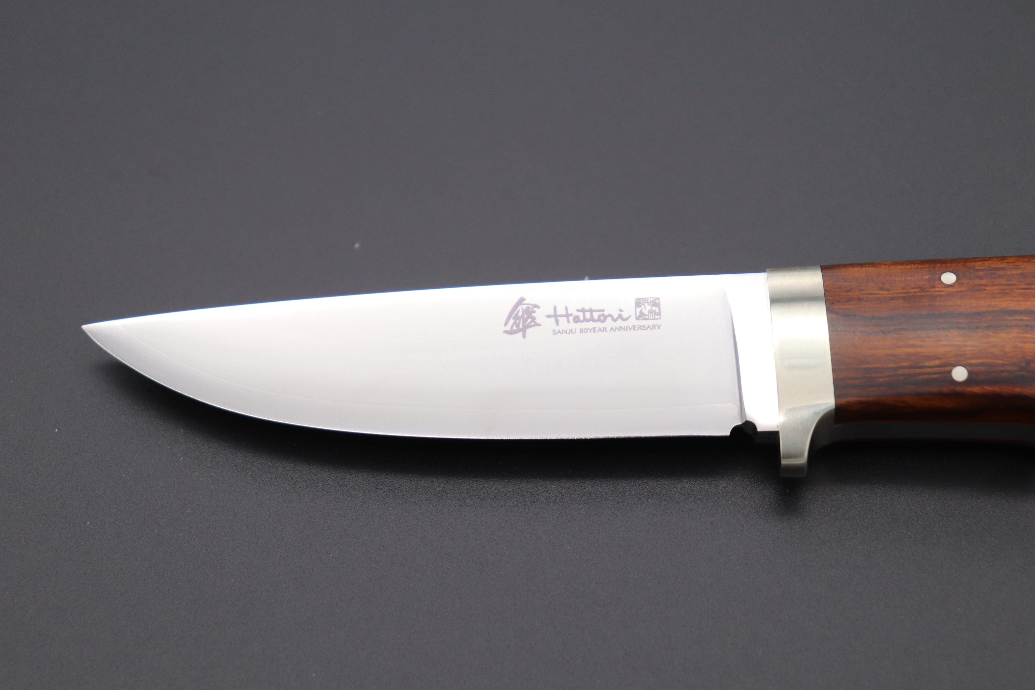 The Deadly Hunters Of The Desert: A Carnivore'S Guide - kigzxt7