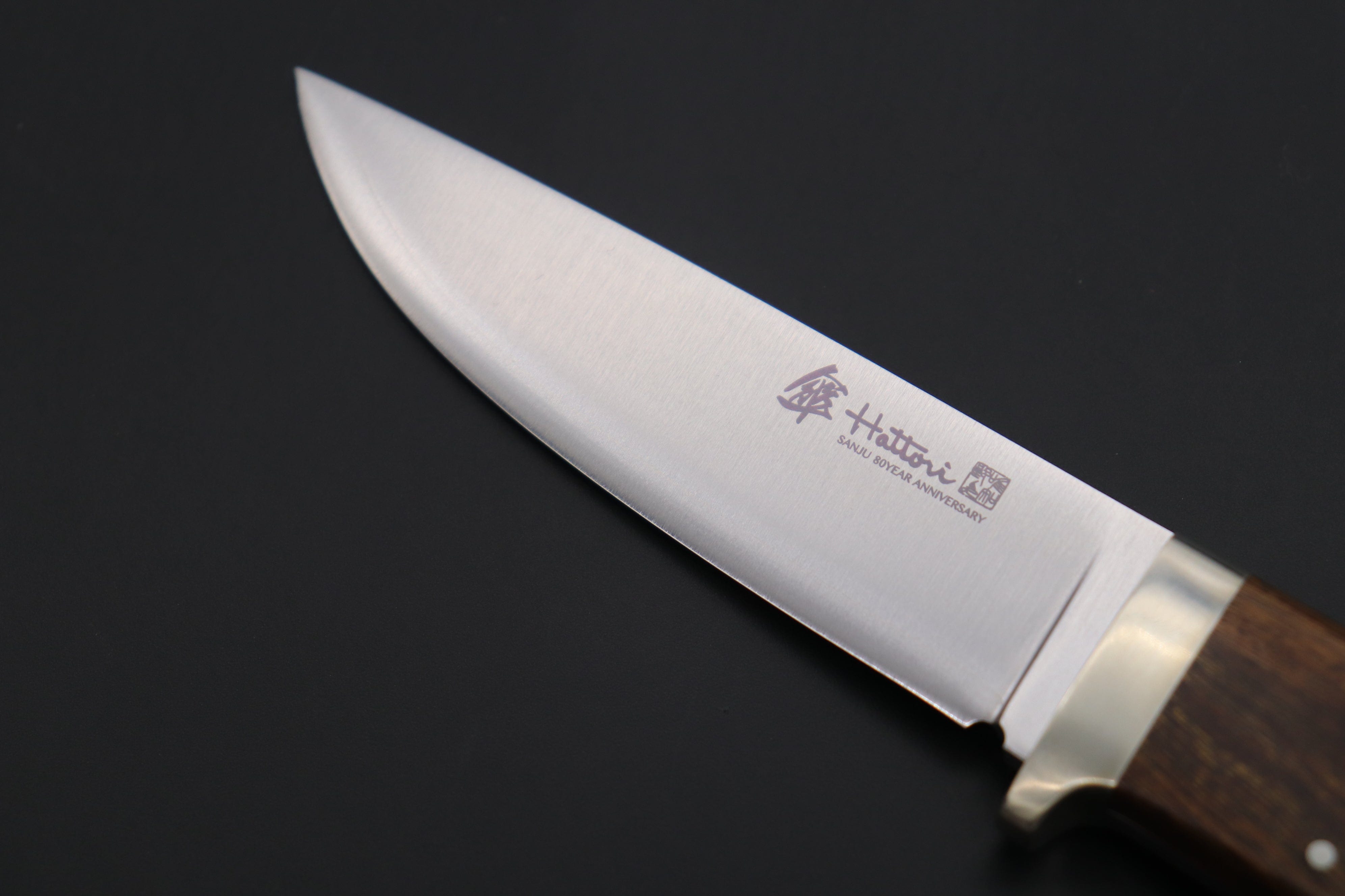 The Deadly Hunters Of The Desert: A Carnivore'S Guide - f3syt5o