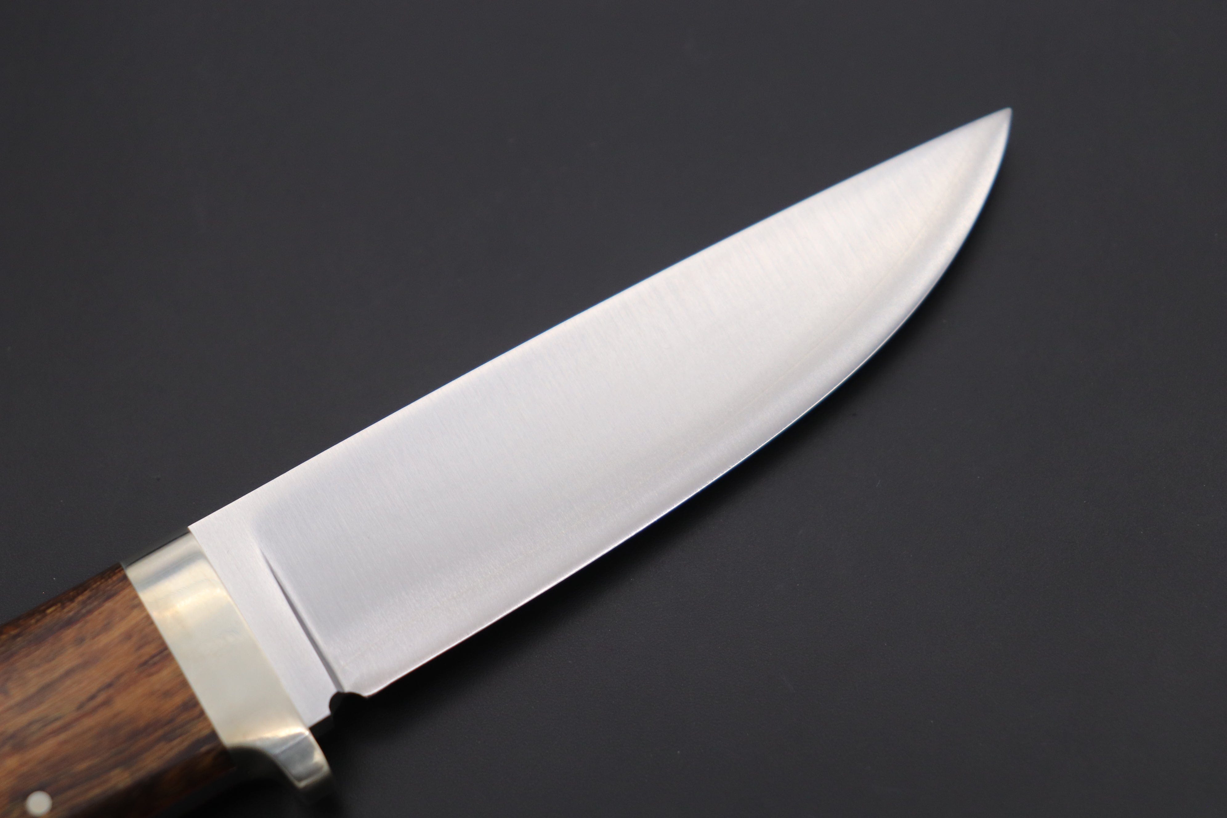 The Deadly Hunters Of The Desert: A Carnivore'S Guide - s8cb6v3