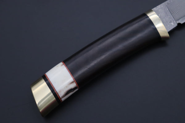 Hattori 傘 SAN Limited Hattori Natures Edition SAN-146 Cowry-X Damascus Special Utility Hunter "Custom Combination Handle African Ebonywood Handle with Stag" - JapaneseKnifeDirect.Com