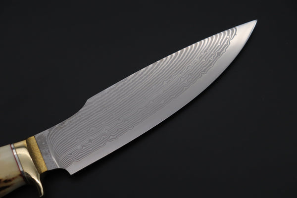 Hiroshi Saito SH-29 Wild + Elegant Bowie