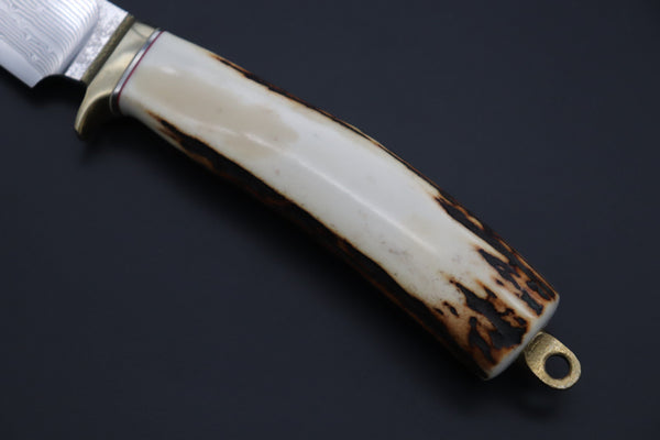 Hiroshi Saito SH-29 Wild + Elegant Bowie