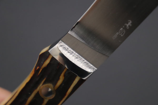 Hiroshi Saito SH-31 “RAM Wild Utility Knife”