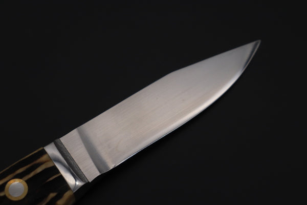 Hiroshi Saito SH-31 “RAM Wild Utility Knife”