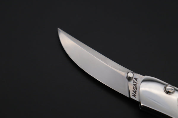 Ikuo Nagata Custom Folding Knife  – IN-100 “Black & Silver”