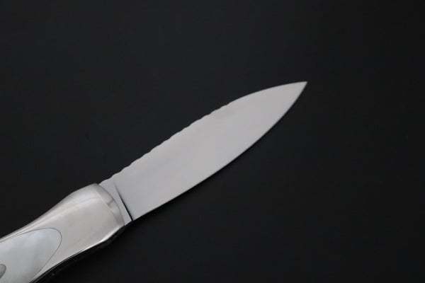 Ikuo Nagata Custom Folding Knife  – IN-145 "STILETTO" “Abalone Eye in the Universe”