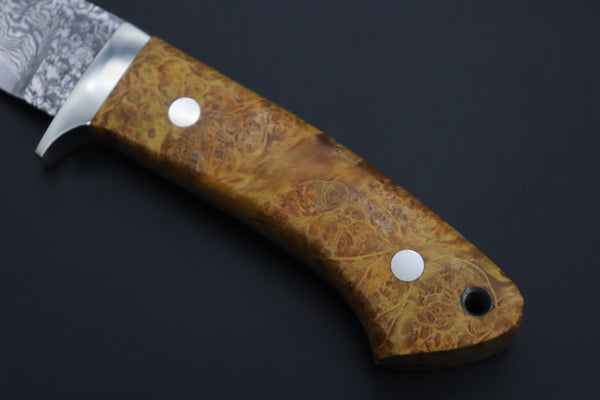 Mr. Itou IT-210A Custom R-2 Damascus 4-1/4" Drop-point Hunter, Golden Color Maple Burl wood Handle