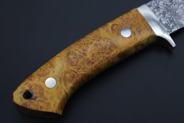 Mr. Itou IT-210A Custom R-2 Damascus 4-1/4" Drop-point Hunter, Golden Color Maple Burl wood Handle