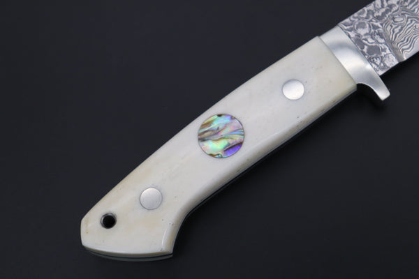 Mr. Itou  IT-460A Drop Point Hunter, 3-5/8" R2 Damascus Blade, White Camelbone Handle with Abalone inlay