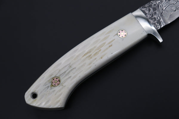 Mr. Itou  IT-480A Drop Point Hunter, 3-3/4" R-2 Damascus Blade,  White Jigged  Camelbone Handle