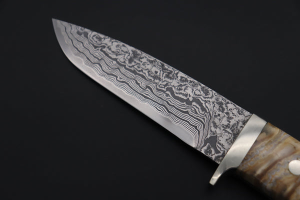 Mr. Itou  IT-570A  "Treasure Hunter Series" Drop Point Hunter, 4-1/2" R2 Damascus Blade, Mammoth Molar Tooth Ivory Handle