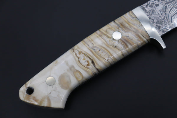 Mr. Itou  IT-570A  "Treasure Hunter Series" Drop Point Hunter, 4-1/2" R2 Damascus Blade, Mammoth Molar Tooth Ivory Handle